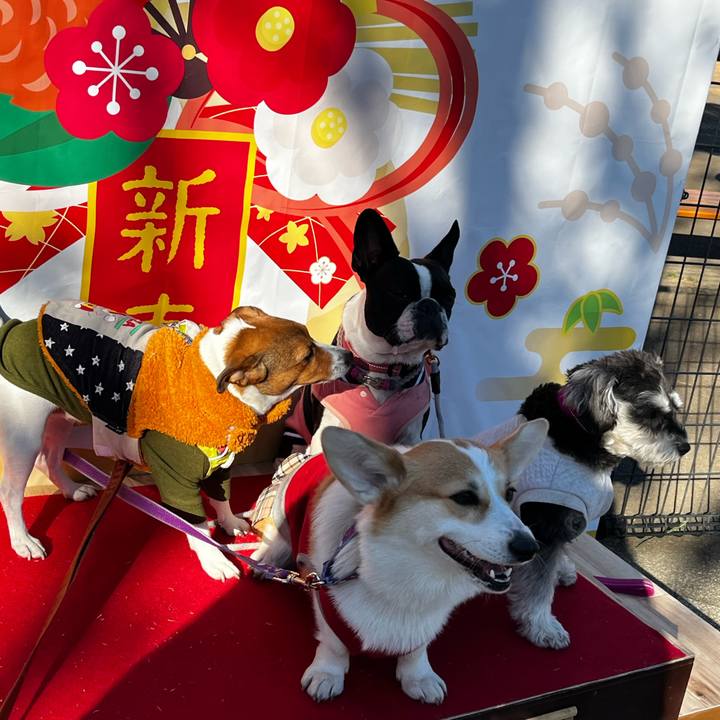 81d18edc d003 4c24 9121 47133d14f20d 1736338359175