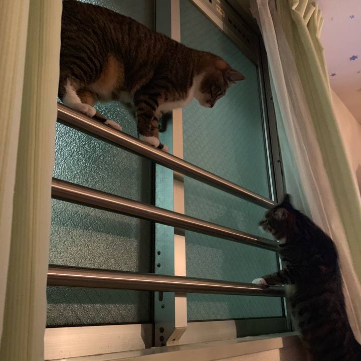 81d18f00 fb8d 45fb 9ca9 4026e976199f 1573691370146