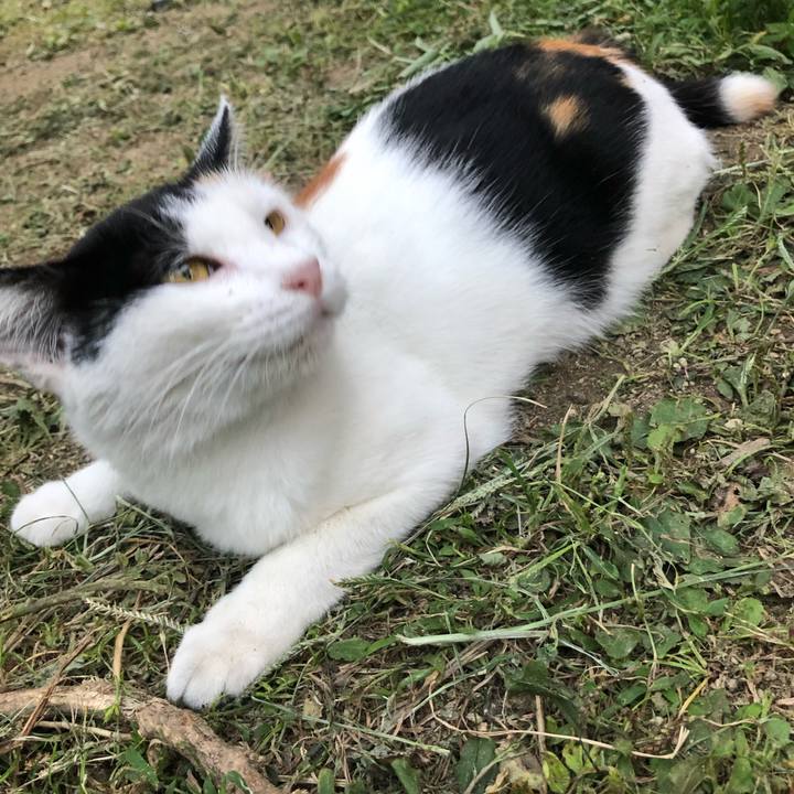 81d1bd0d 2065 4229 8b98 54927a2ed03b 1600265121177