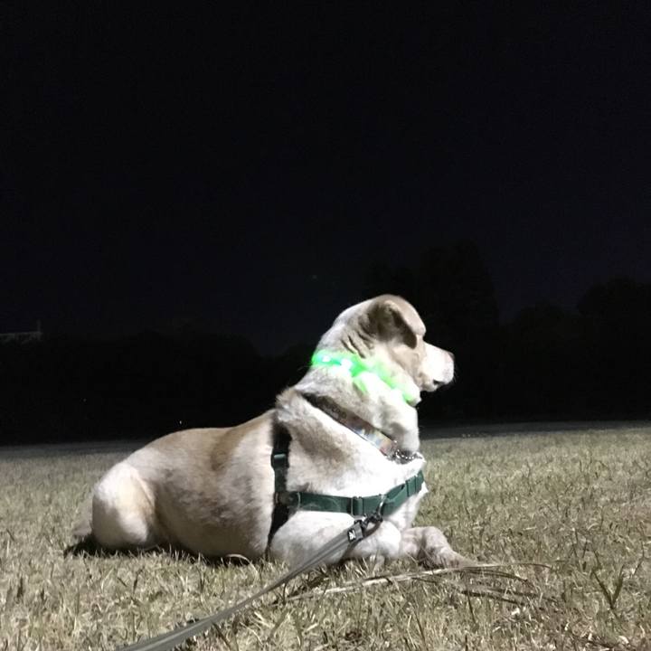 81d1e267 799c 488d b897 26f427598553 1521893534477