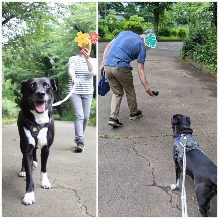 81d1fbe2 a40c 47fd ac5a bd89e5171c7f 1654856162530