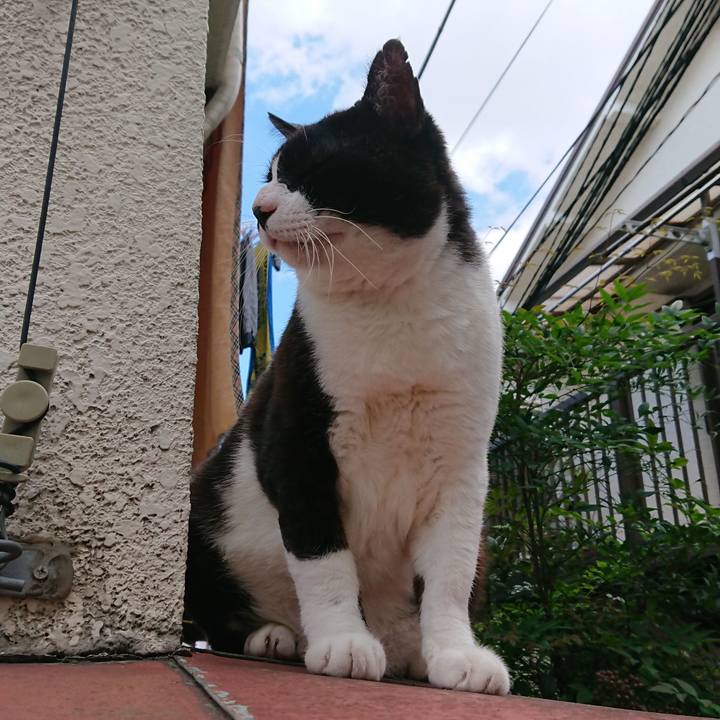 81d20e86 960b 41fa 8801 03549621ccd5 1538887805318