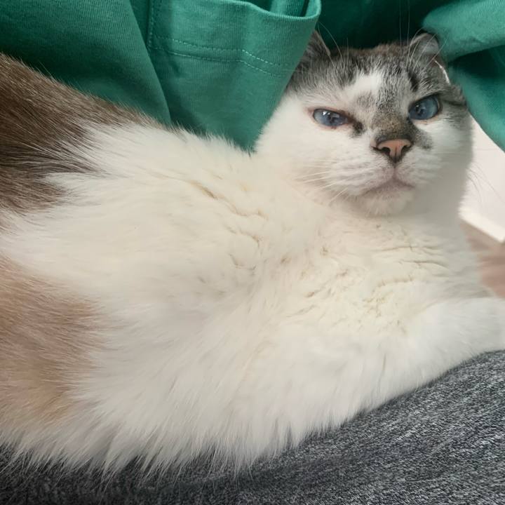 81d21498 cdaa 420c bbe3 4563d34e76fc 1650157551107