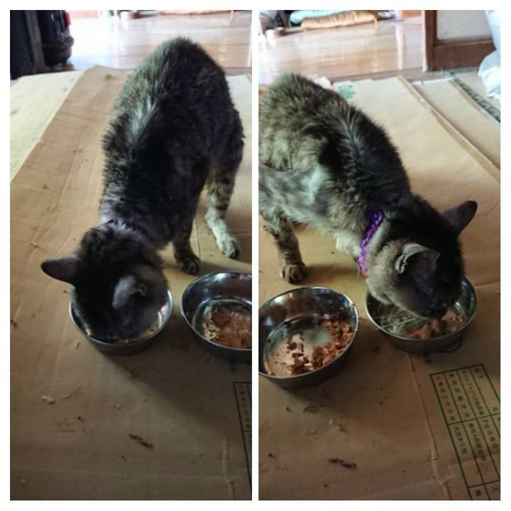 81d23fae 1c44 4e52 901d 8775f29abeee 1597560078151