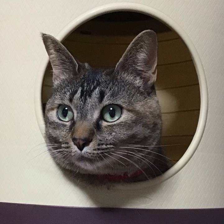 81d25b3b 3d86 4e7b 8d94 8eedecd02083 1681469588267