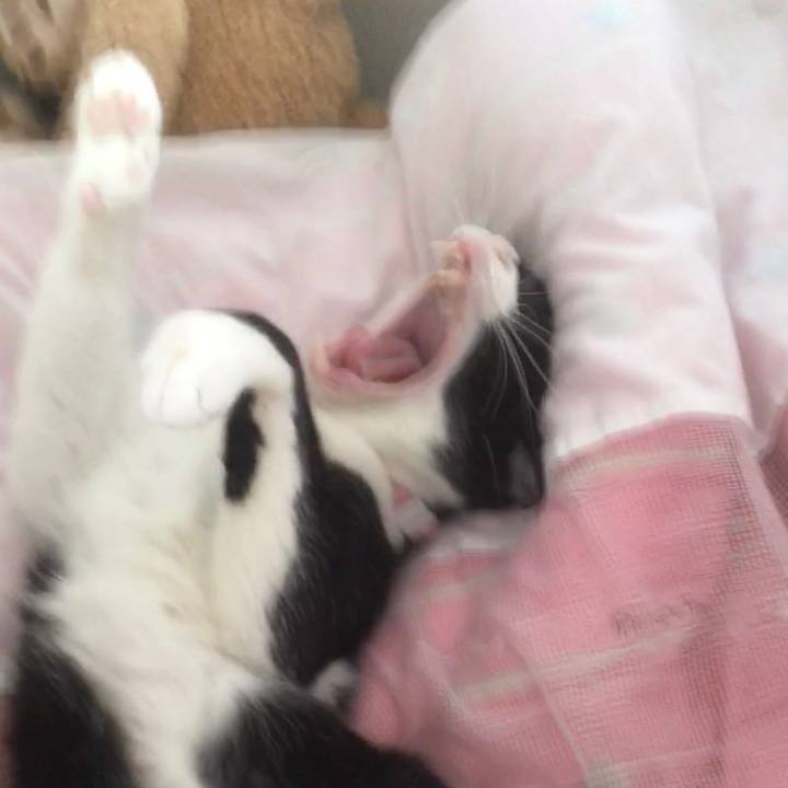 81d271c6 2634 4a77 86de e93fca2b3fc7 1590909856052