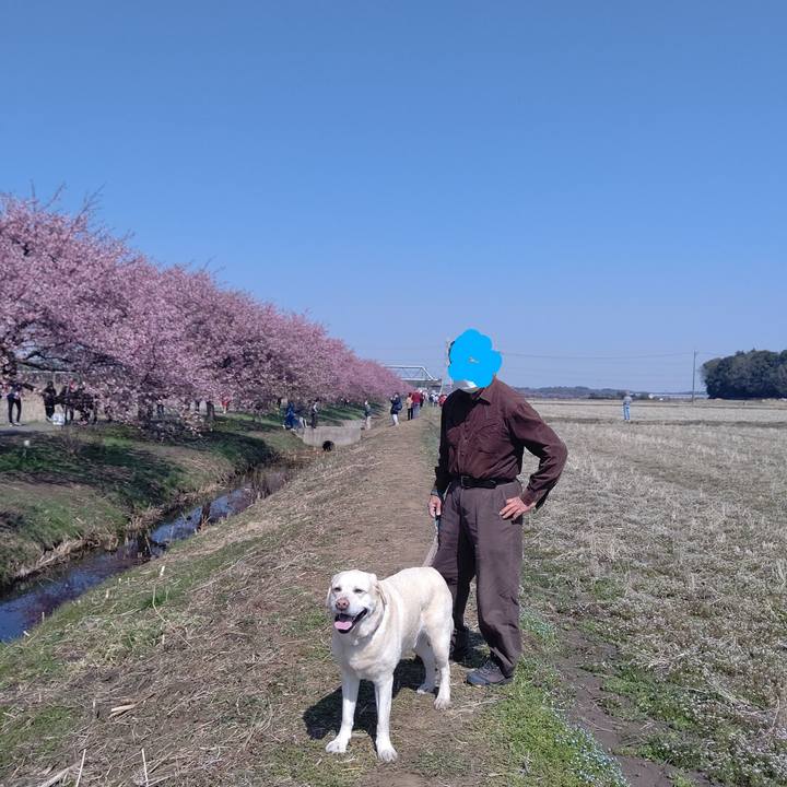 81d2b98d 5d78 4e01 a344 a525de8308ca 1678252471905