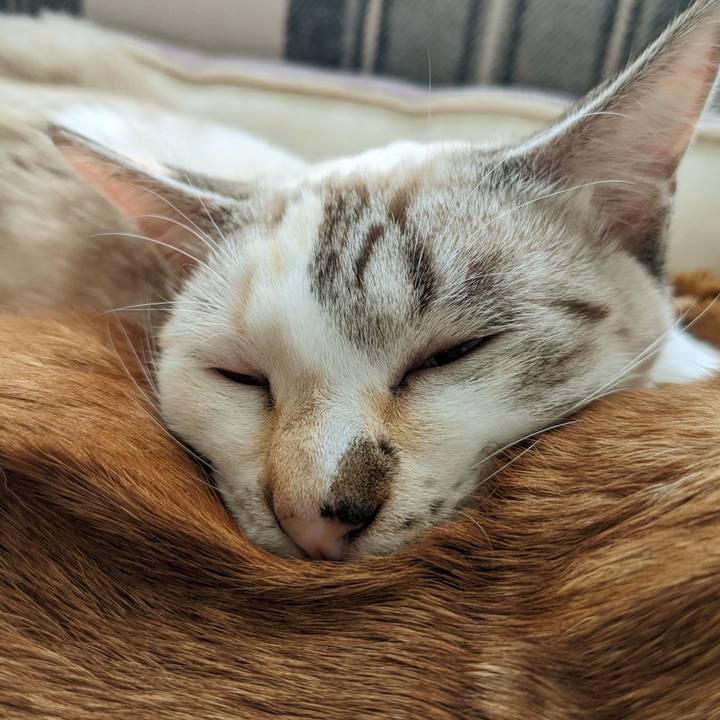 81d2c787 399e 425f 943a 2b0c6ab6dd2f 1703820454383