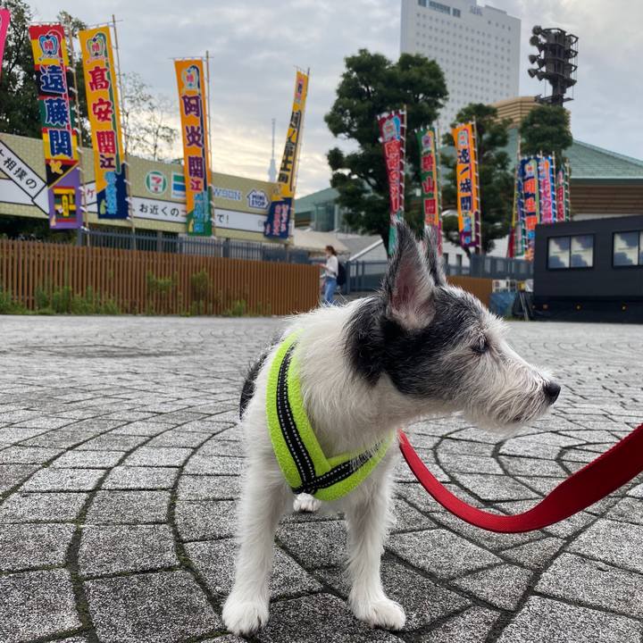 81d2d47e aca6 454e a9e7 4cad3cc10f52 1595549003657