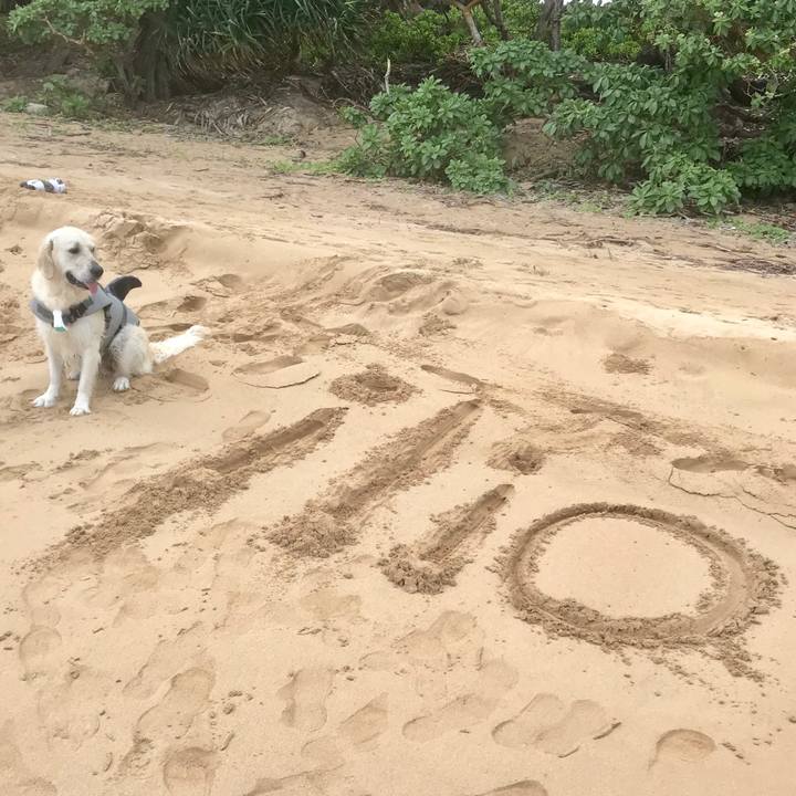 81d2dbb7 d2ba 4b40 a509 027b081c8eb2 1543477296206