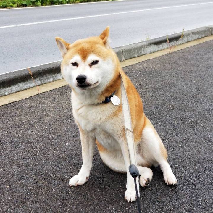 81d2e3dd 2322 4fe5 a896 33dc22523623 1572153892251