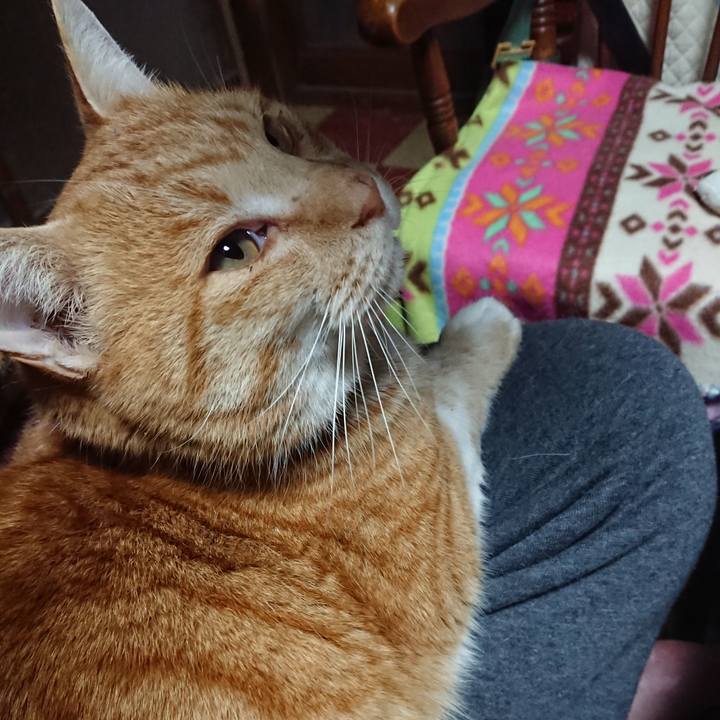 81d2f3ef 53aa 4910 93d7 f20d6167a238 1577652601135