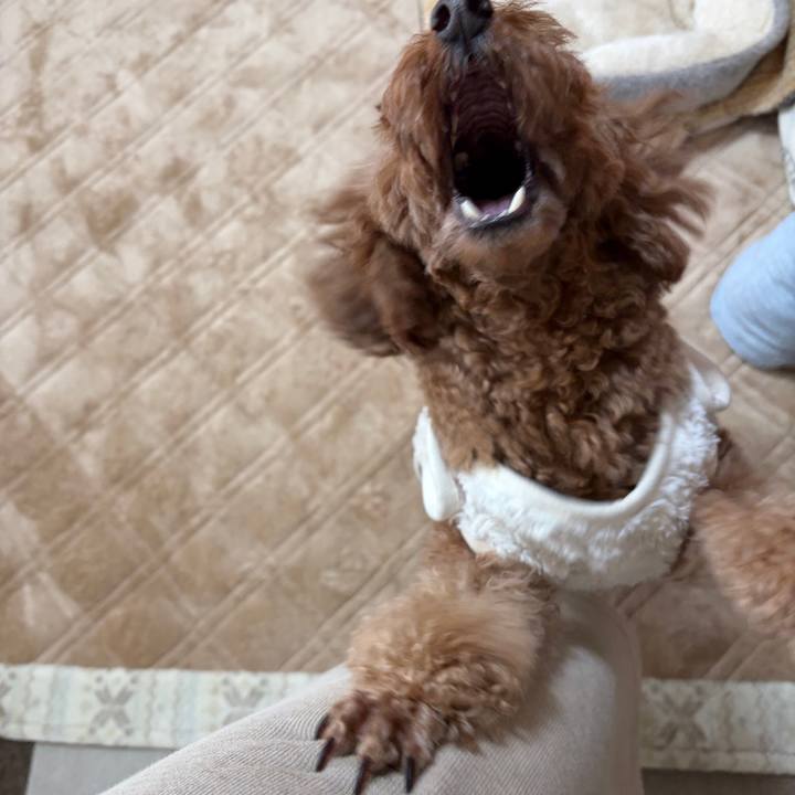 81d30cb7 af63 4165 8369 dcdc1b500aea 1767651403698