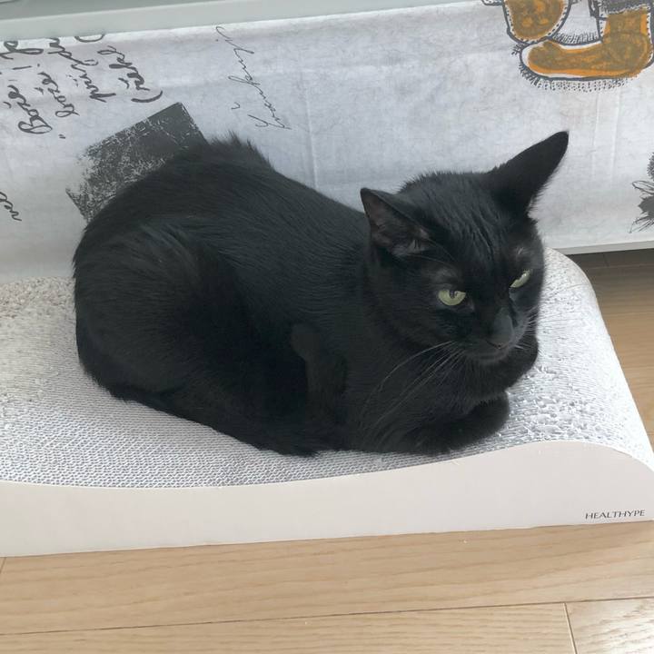 81d37b0e 63c9 4f94 89fc 8da37b3c5ba4 1631525926856