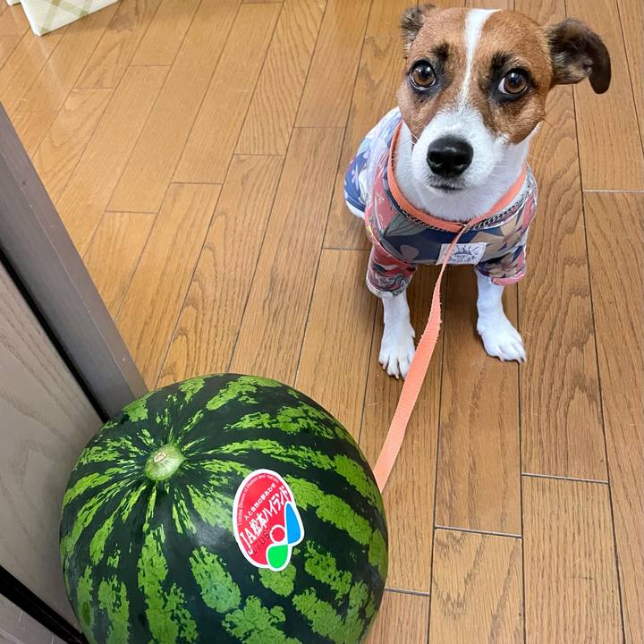 81d3c607 3757 4eb7 a0ab baa3003842e2 1627212501522