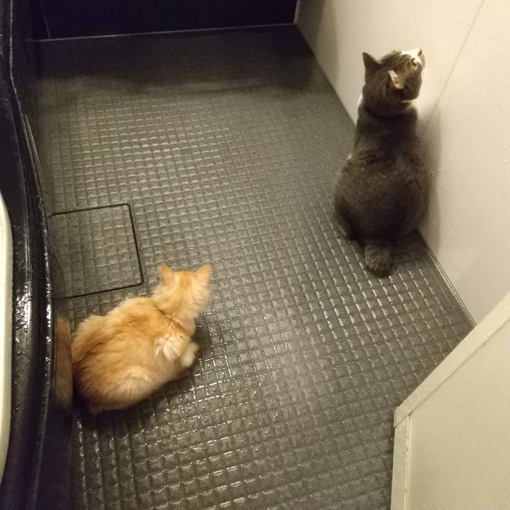 81d3d4f4 869c 4308 8750 f4924e8f4d97 1608154809902