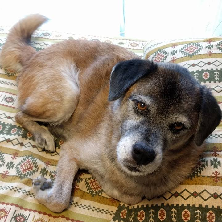 81d419be c12e 4ebd a2a5 98081d7d91bb 1535525736986