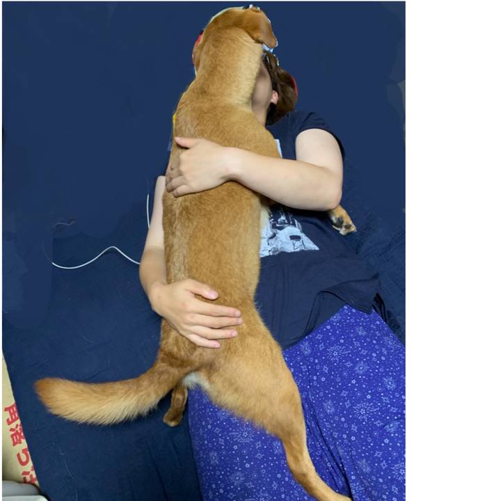 81d41c6b 4cb3 496d 8509 0b28974ed89c 1564494446939