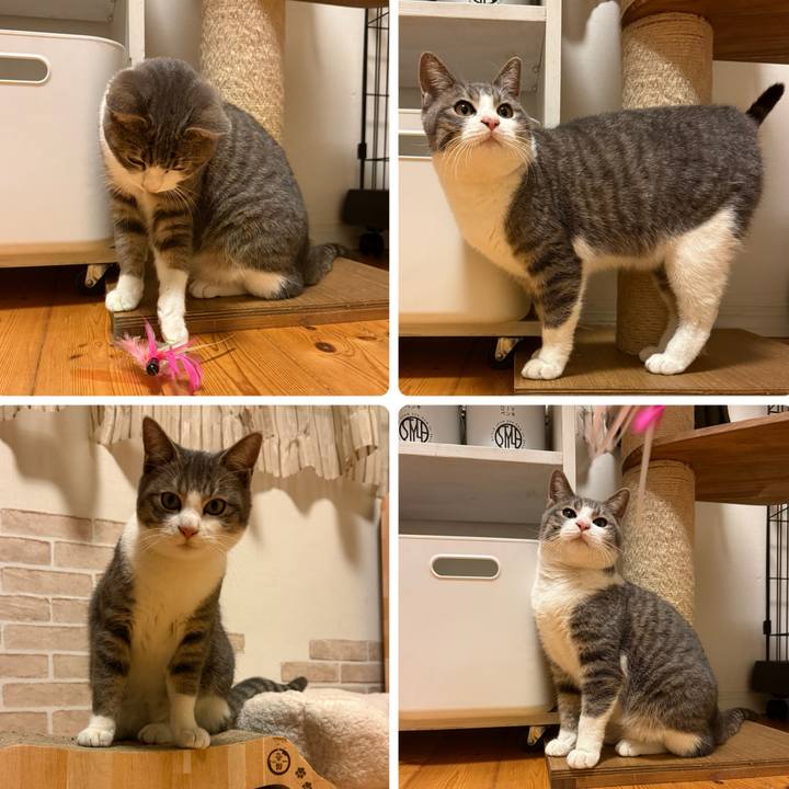 81d4280f 5a53 4e4e befc abdc733212d4 1765458822432