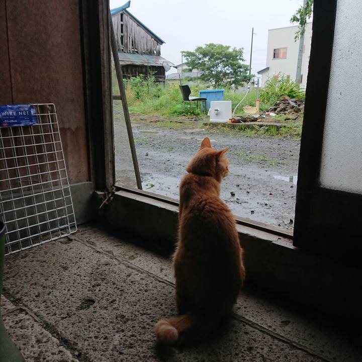 81d4328c eb49 498b 9fa0 97ca0ea82f25 1661806742182