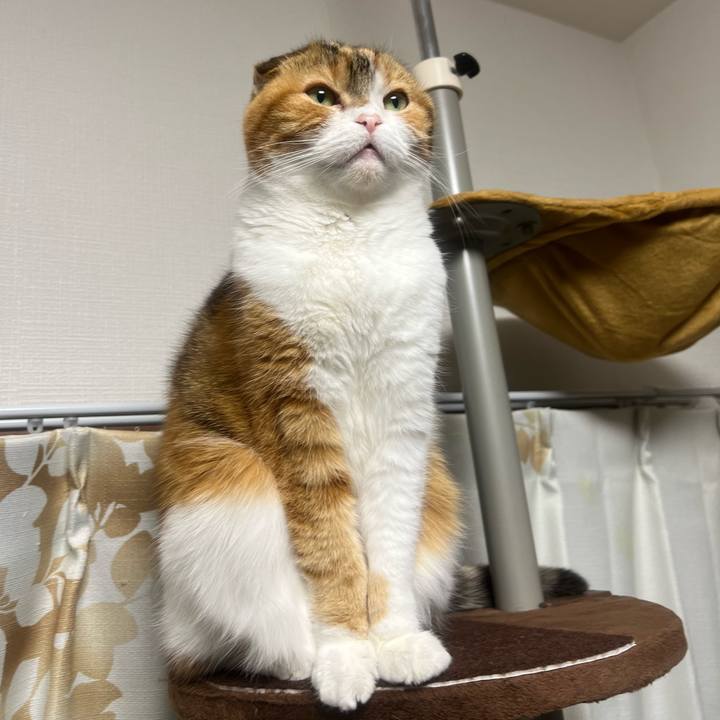 81d44249 45e8 4b89 bf1d 33630cc6218c 1643375120734