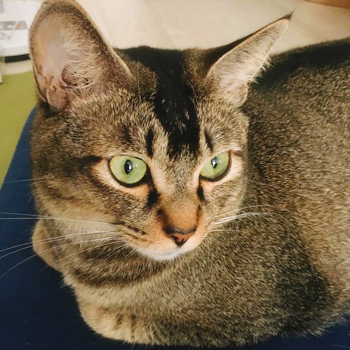 81d47128 41da 4392 be02 65b29621bca1 1535697296708