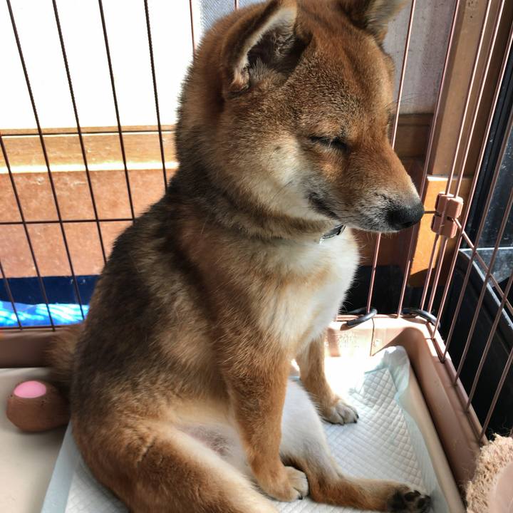 81d48c37 f8e4 4c25 964f fb785ff09e8e 1533166005456