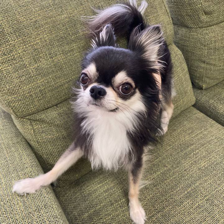 81d49d82 5d38 4c89 88ca 65cb6d10a2cb 1680966543763