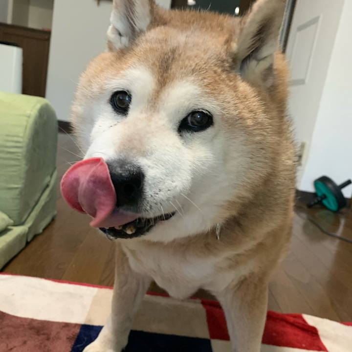 81d4bfdd e6c6 4c68 8ab2 4823c7156062 1644968637226