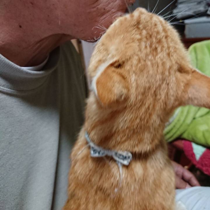 81d4e41f 24cb 4821 8d64 2b8269d132c4 1588626574672