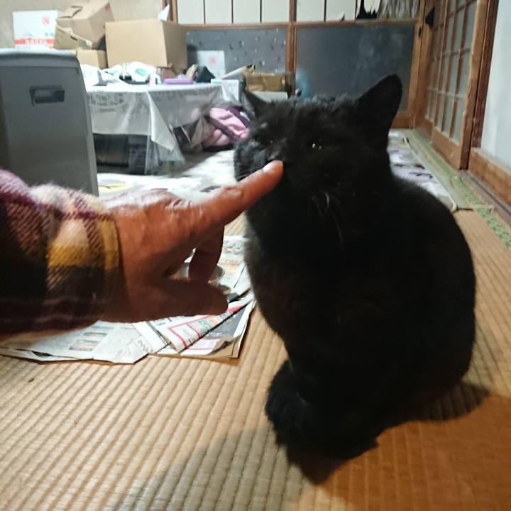 81d5043b 0808 45c4 844a 99c0104bcd43 1618496939885