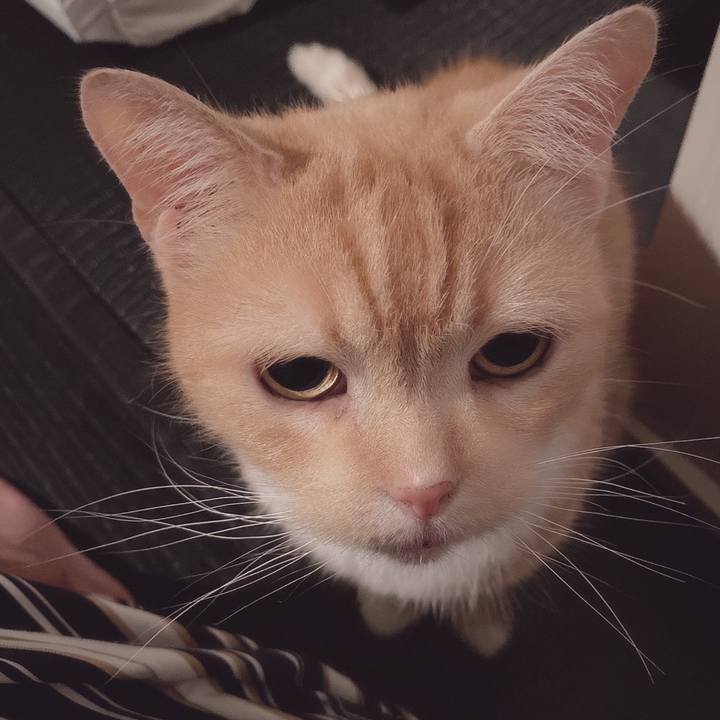 81d539c2 586a 47ec 9a97 250c5d4ac494 1631359886089