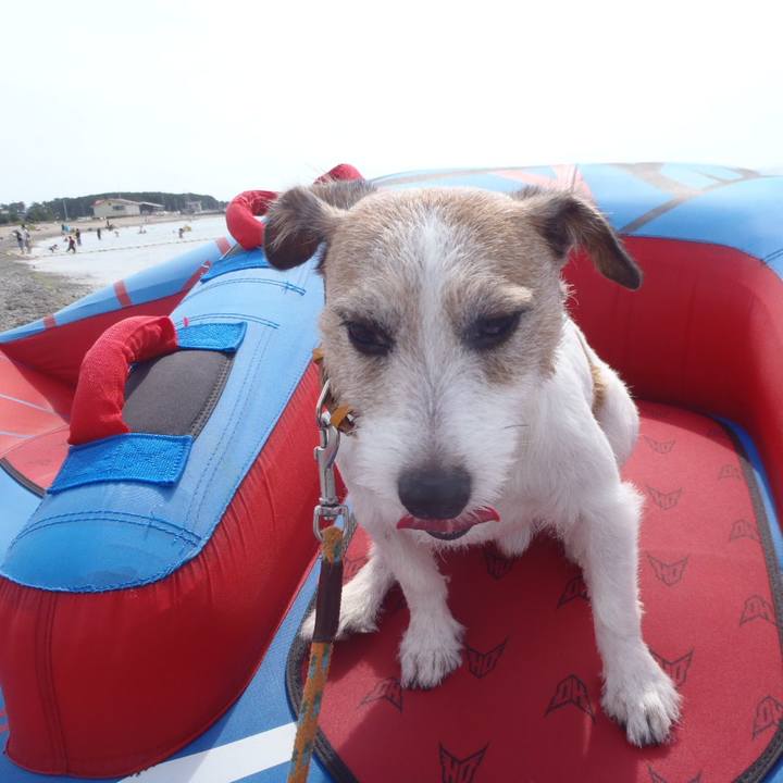 81d56355 6951 4e98 853f 38f214932e26 1534663069115