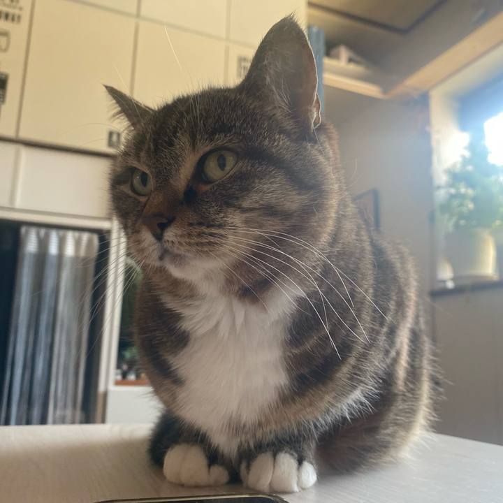 81d57cc0 b217 4679 96e4 24af85604b1d 1714289256808