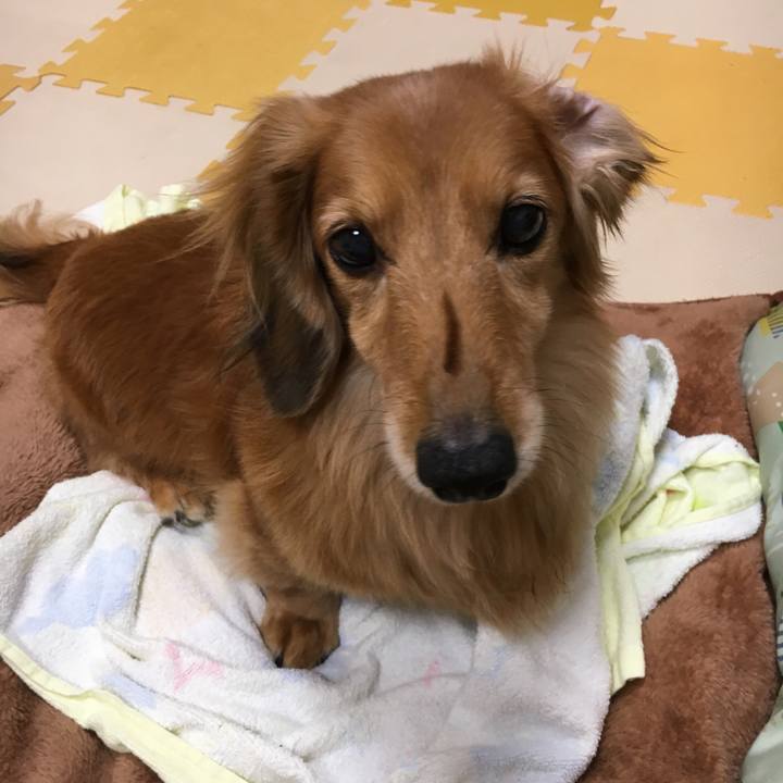 81d60f21 9b97 4265 8e6a 2682ff5cae55 1606397153300