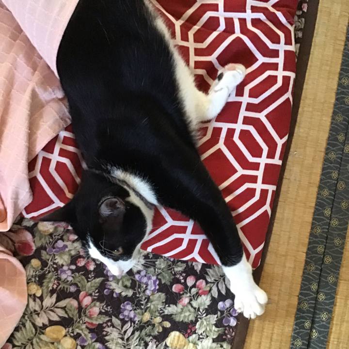 81d63cbc 445b 4562 aa1d c0588dfb734b 1637815929262