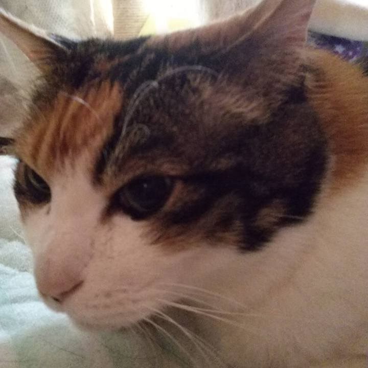 81d63d61 2043 4d7f 940e 17d80391f790 1555724875397