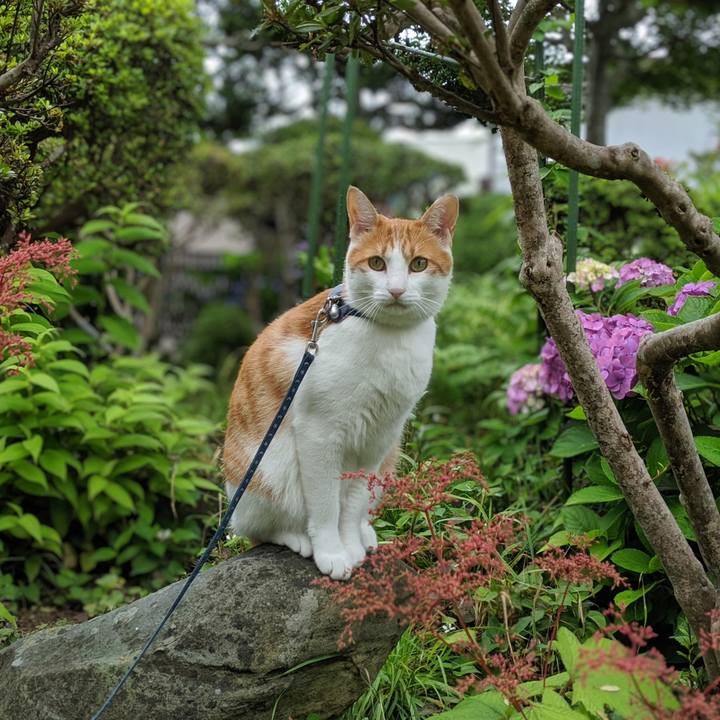 81d66164 2825 48c4 9d07 ac256292b8b1 1563165076695