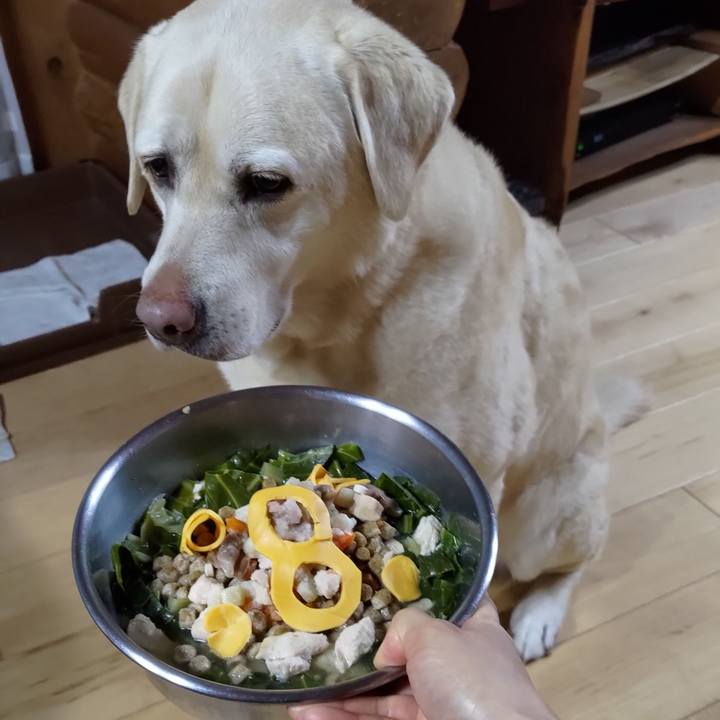 81d6623b 8c3d 412f a704 3979b8cf11d5 1708683944735