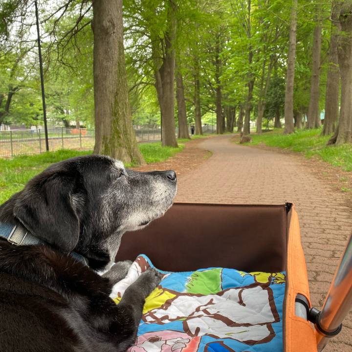 81d6670c 89fe 43b1 8f39 1db92d42085f 1745569436368