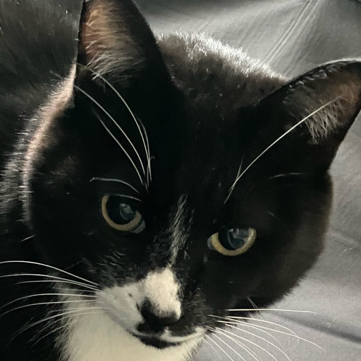 81d66fb4 3d7e 4ece a757 815cd4ae523f 1771059305310