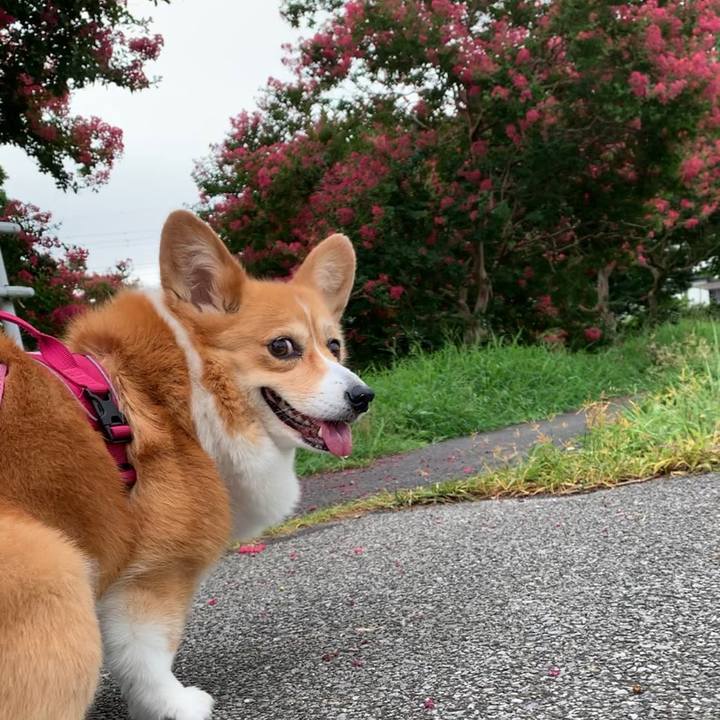 81d6cc81 2d8e 4b75 af9d 6405dd597dff 1659916886291