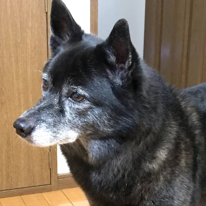 81d6f5e4 42f4 43f3 b3f7 c45f04d23374 1539907996713