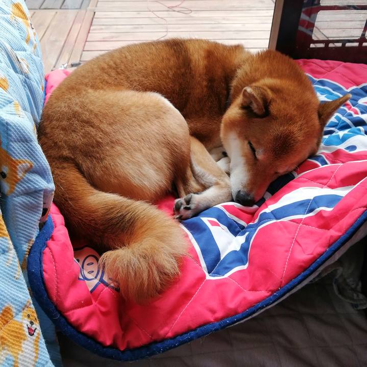 81d70079 9dfa 41c6 adb8 4b68a7db234d 1603339805054