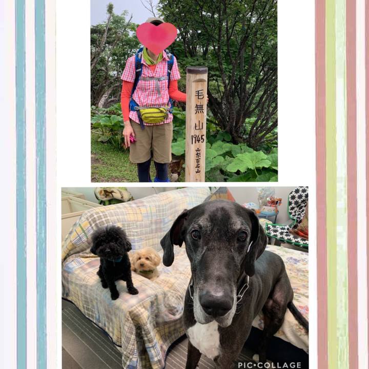 81d72863 3cf7 4780 b561 e4da2753870a 1562983885766