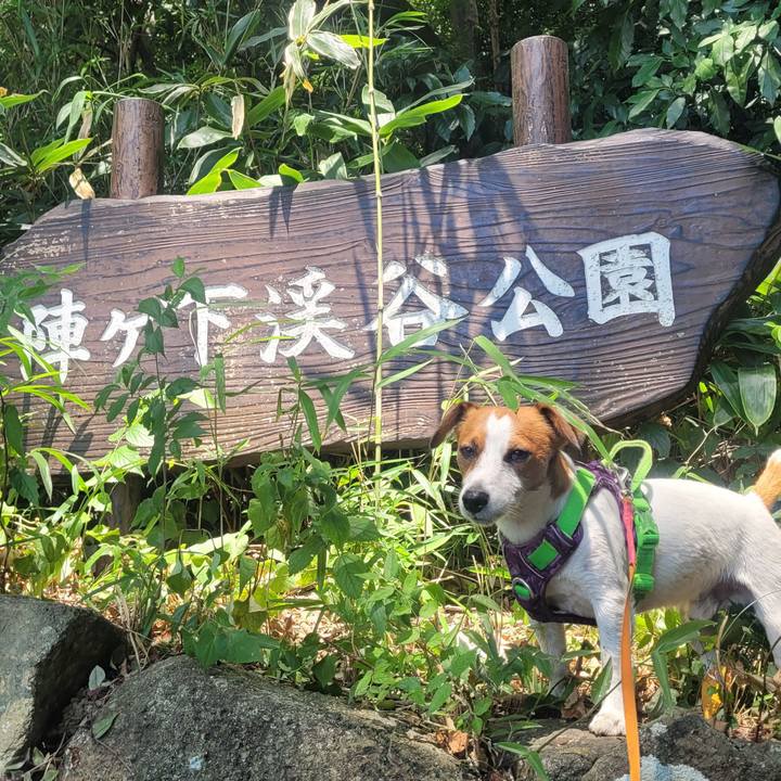 81d73927 3fc3 439f 952c 3b8aaa546da5 1690410752893