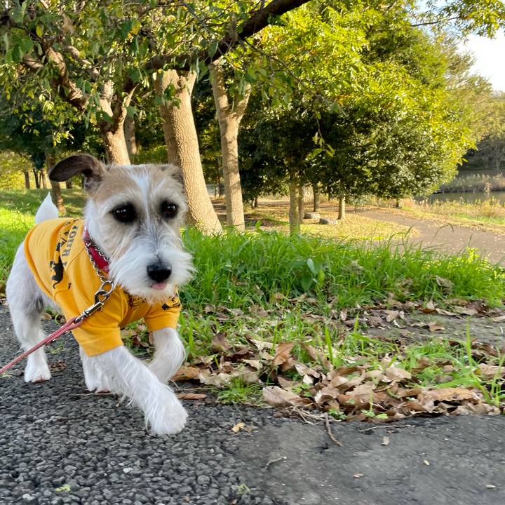 81d73a1f 4bcb 4b8f 8a1a 903b916f9c4f 1636699192484