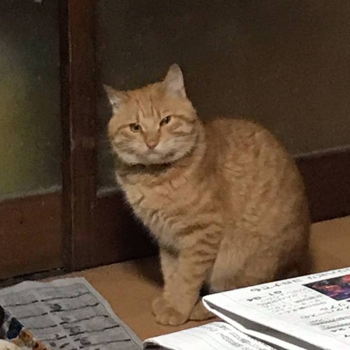 81d7479e be40 4936 a8c9 b78850a1572a 1651407804995