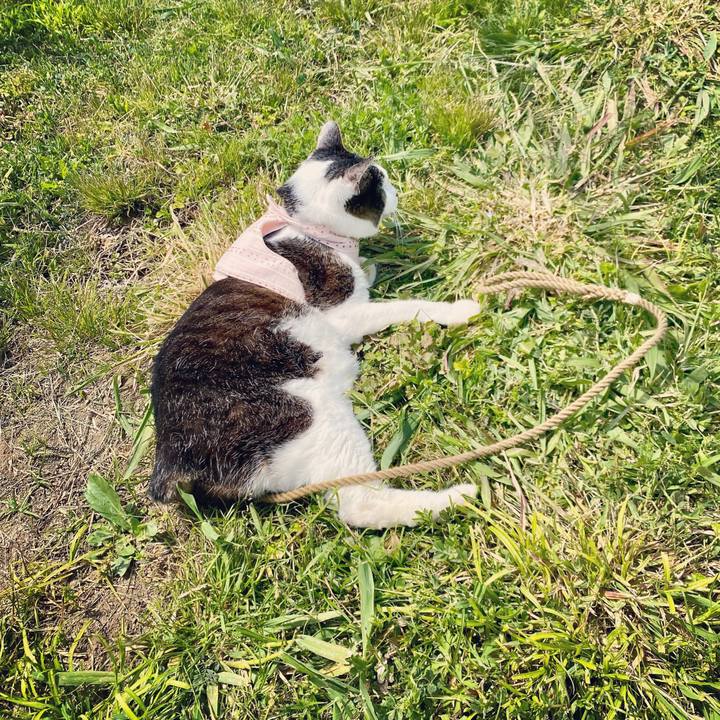 81d749dc 275e 4e23 8155 400c474a5c25 1619329608922