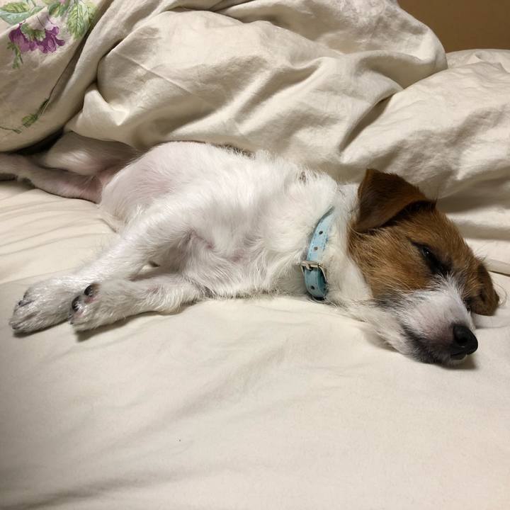 81d77a66 ed45 4956 870f c5d9095c719c 1543757343869